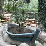 Ema Çatalca